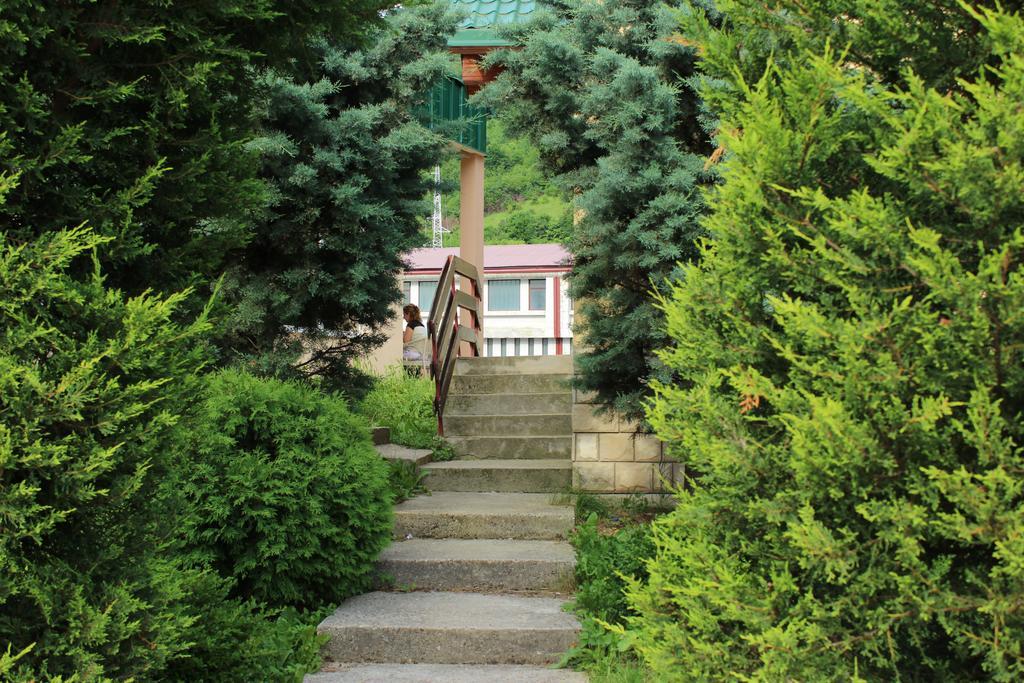 Guesthouse Eko Piva Plužine Εξωτερικό φωτογραφία